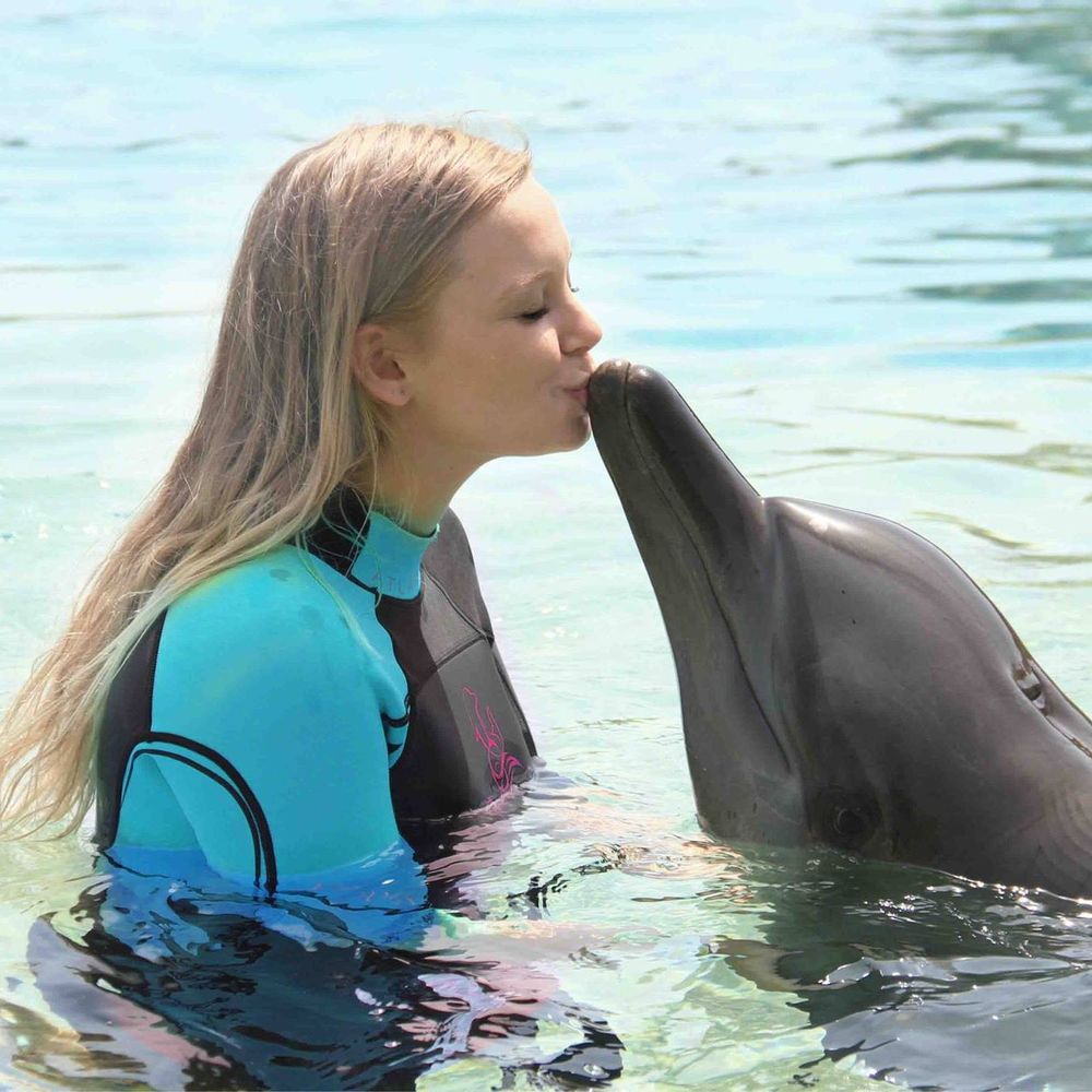 Meet your Posher, Hanna